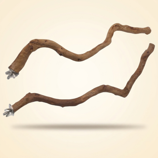 Natural Wood Parrot Perch - studio