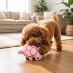 Dog playing with turtle plush toy