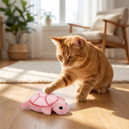 Cat playing with turtle plush toy