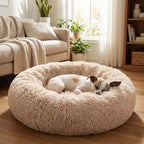 Dog sleeping in round plush bed