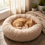Cat sleeping in round plush bed