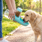 Dog drinking from portable water bottle on a walk