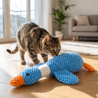 Cat investigating plush squeaky toy