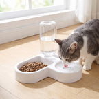 Cat drinking from gravity water bowl dish